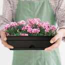 Vertical Garden Planter, Raised Garden Bed - bigroofus