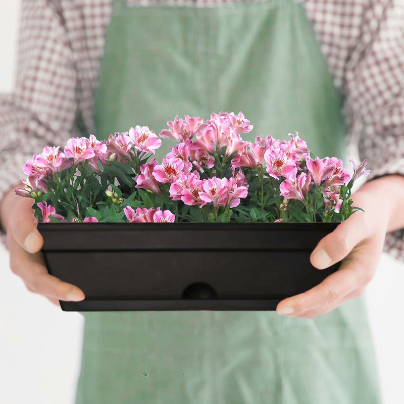 Vertical Garden Planter, Raised Garden Bed - bigroofus